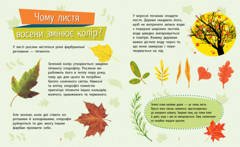 Чомусики. Рослини